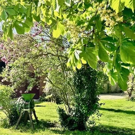 Сasa de vacaciones Longere Des Templiers Near Troyes *