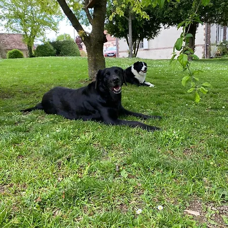 Longere Des Templiers Near Troyes